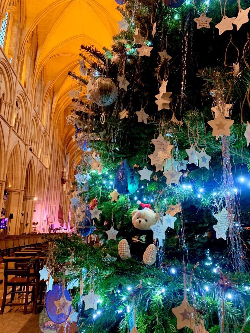 G4Official's tweet photo. #bernardbear has arrived @TruroCathedral https://t.co/EnJNjUwZno
