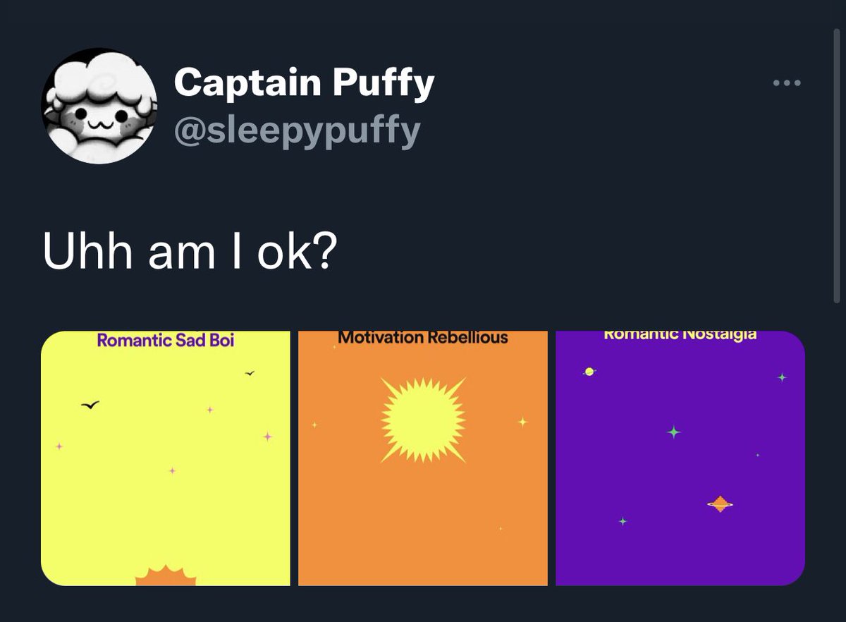 Captain Puffy Updates tweet media
