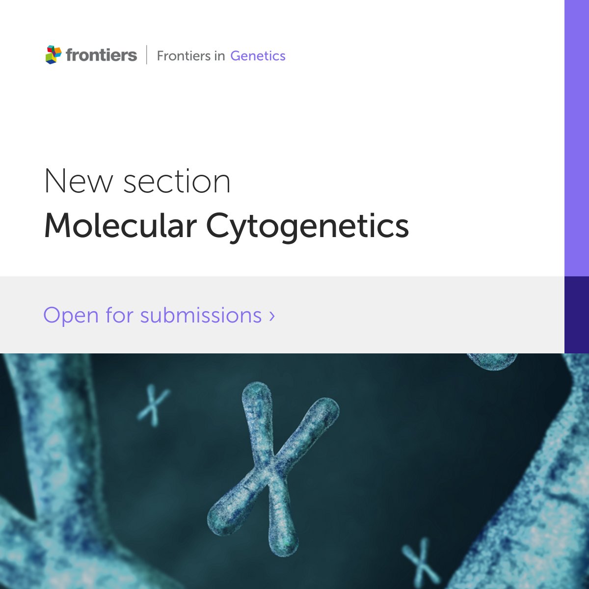 FrontGenetics's tweet image. We are pleased to announce the launch of our new Journal Section &apos;Molecular Cytogenetics&apos;, led by Specialty Chief Editor Professor Fengtang Yang from the Shandong University of Technology. 
Submissions are NOW Open! frontiersin.org/journals/genet…  
#MolecularCytogenetics #Genetics