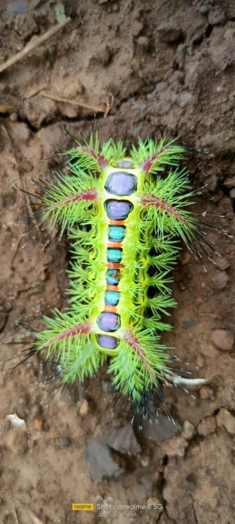 alien_xt's tweet image. #NFTshill #NFTs #NFTCommunity