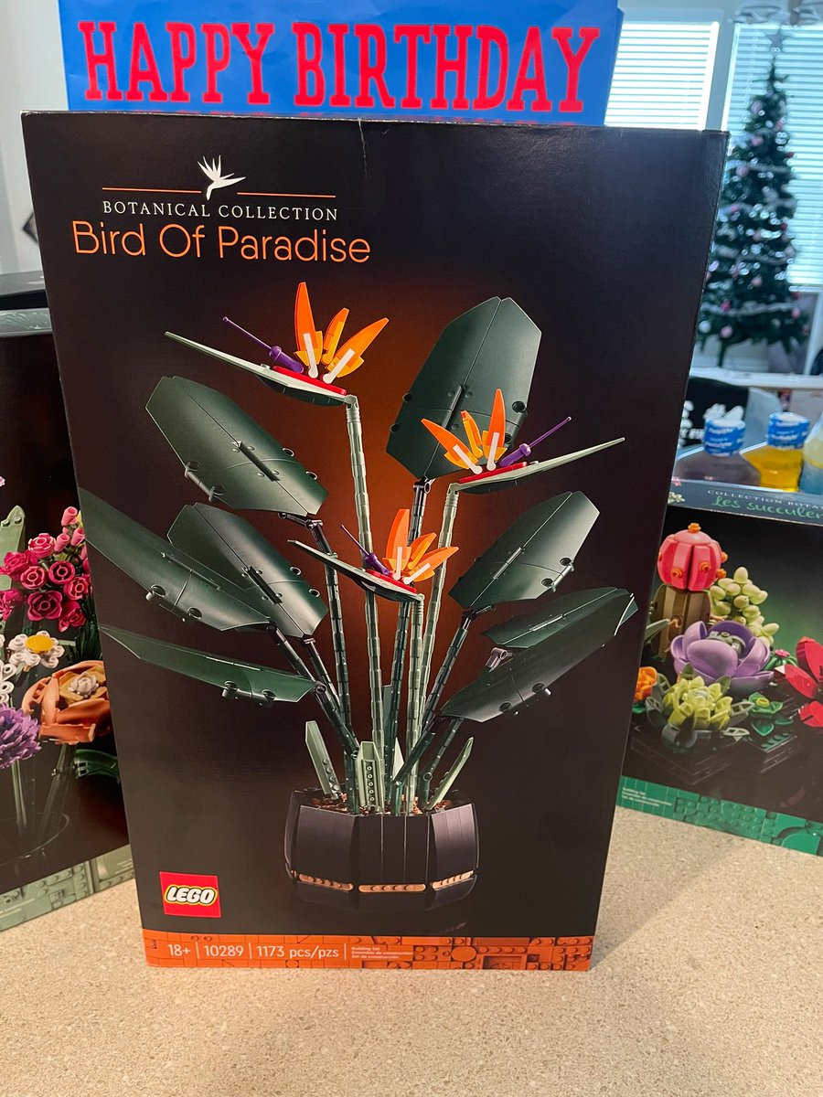 Best Birthday Gifts so far… they forgot the Bonsai set tho  🥹😭