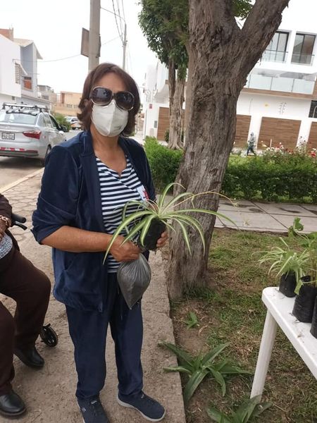 mpchoficial's tweet photo. #ChiclayoRenace
🌳CAMPAÑA RECICLATÓN 
📌La Municipalidad Provincial de Chiclayo agradece a todos los vecinos que se sumaron a su campaña de reciclaje en el Parque de las Amistad de la Urb. Los Parques.
👨‍👩‍👧‍👦Familias completas se congregaron y pudieron recibir diferentes incentivos. https://t.co/AFEUsYZwG1