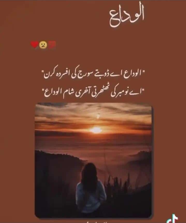 انعم شیخ tweet media