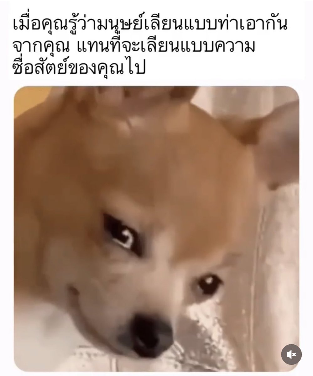 555555555555555555555