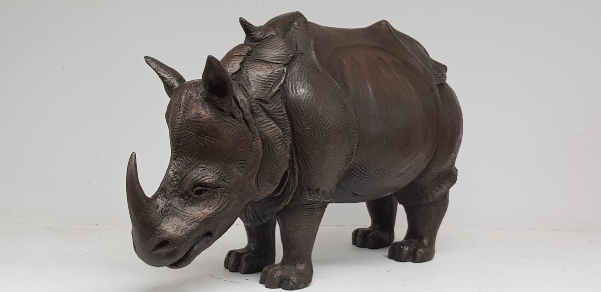 Nature Chain will be at the Hop Pole raising awareness for a greener, more wildlife friendly local environment. As part of their fundraising, they will display this bronze sculpture of “the Pope’s rhino” by #LimpleyStoke sculptor, Alan Dunn. Come &amp; chat to them to find out more!