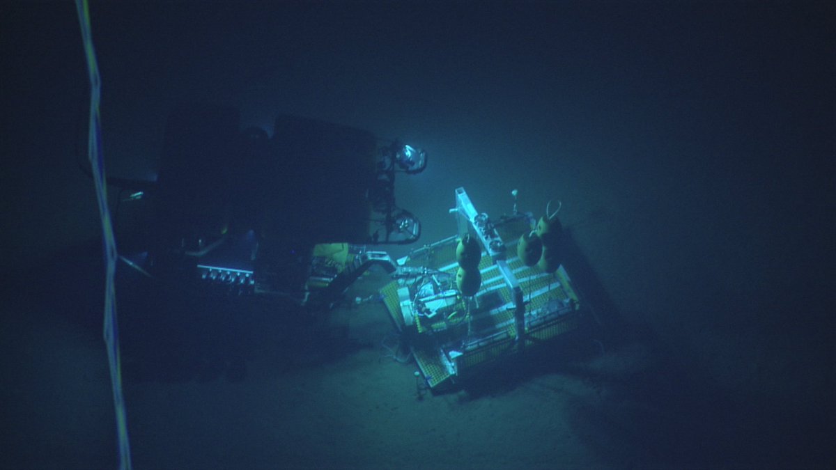 Hi, I'm Moronke Harris!🌊 PhD Student <a href="/UVicSEOS/">UVic School of Earth and Ocean Sciences</a> @UVic studying the DEEP, dark world of hydrothermal vents. Specifically, the intersection of deep-sea mining, seafloor mapping/modelling, and vent microbe biopharmaceutical potential. moronkeharris.com

#BIMSWeek #BIMSRollCall