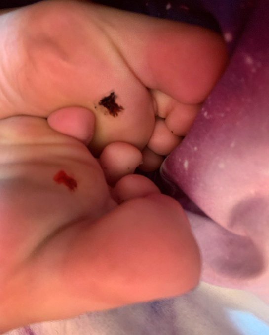 My paws were just too much for him.. 🥺oh well 😈💅🖤 #giantess #giantessattack #giantessfeet #giantessfoot<a href="/tag/giantess"class="tags"><span>#giantess</span></a><a href="/tag/giantessfeet"class="tags"><span>#giantessfeet</span></a><a href="/tag/giantesscrush"class="tags"><span>#giantesscrush</span></a><a href="/tag/giantessworship"class="tags"><span>#giantessworship</span></a>