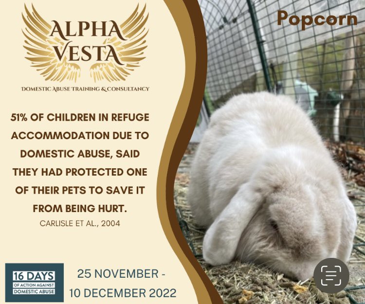 DAY 6: Established in 1991, the ’16 Days of Action’ is an initiative that aims to raise awareness of the reality of domestic abuse and push for positive change.
#domesticabuse   #domesticabuseandpetabuse #alphavesta #breakingthecycle #betheirvoice