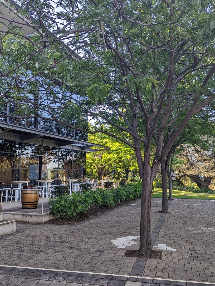 AbTilly's tweet image. The Conference Dinner at The National Wine Centre last night was fantastic 🥂 #AMOS2022