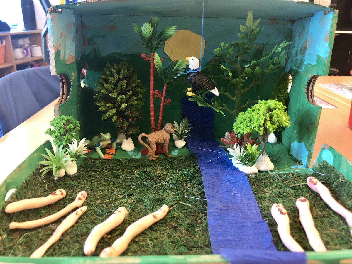 Grade 1 concluded their Biodiversity UOI by creating ecosystem dioramas. Students researched an ecosystem and designed  biotic and abiotic elements that are essential components of the habitat. They described how food chains transfer energy throughout the ecosystem. #IBPYP
