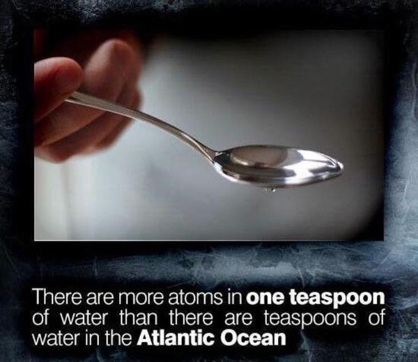 DevPickerCom's tweet image. Totally random fact of the day
#javascript #java #random #fact #funny #football