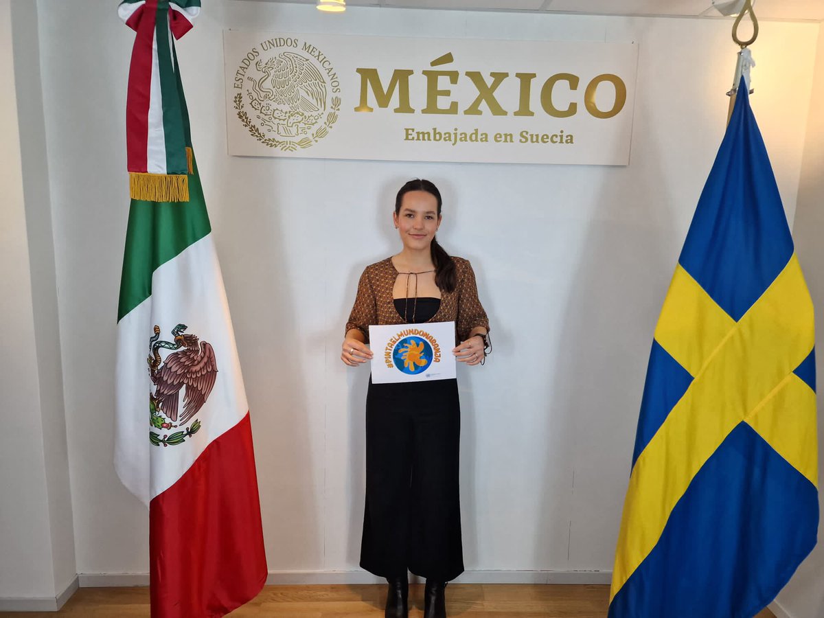 La igualdad de género es una prioridad para México, por lo tanto, ha construido uno de los marcos legales, programáticos e institucionales más completos de la región para erradicar la violencia contra las mujeres, teniendo en cuenta la naturaleza multifactorial del fenómeno.