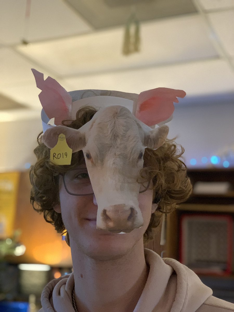 Mrs.V's Classroom tweet media