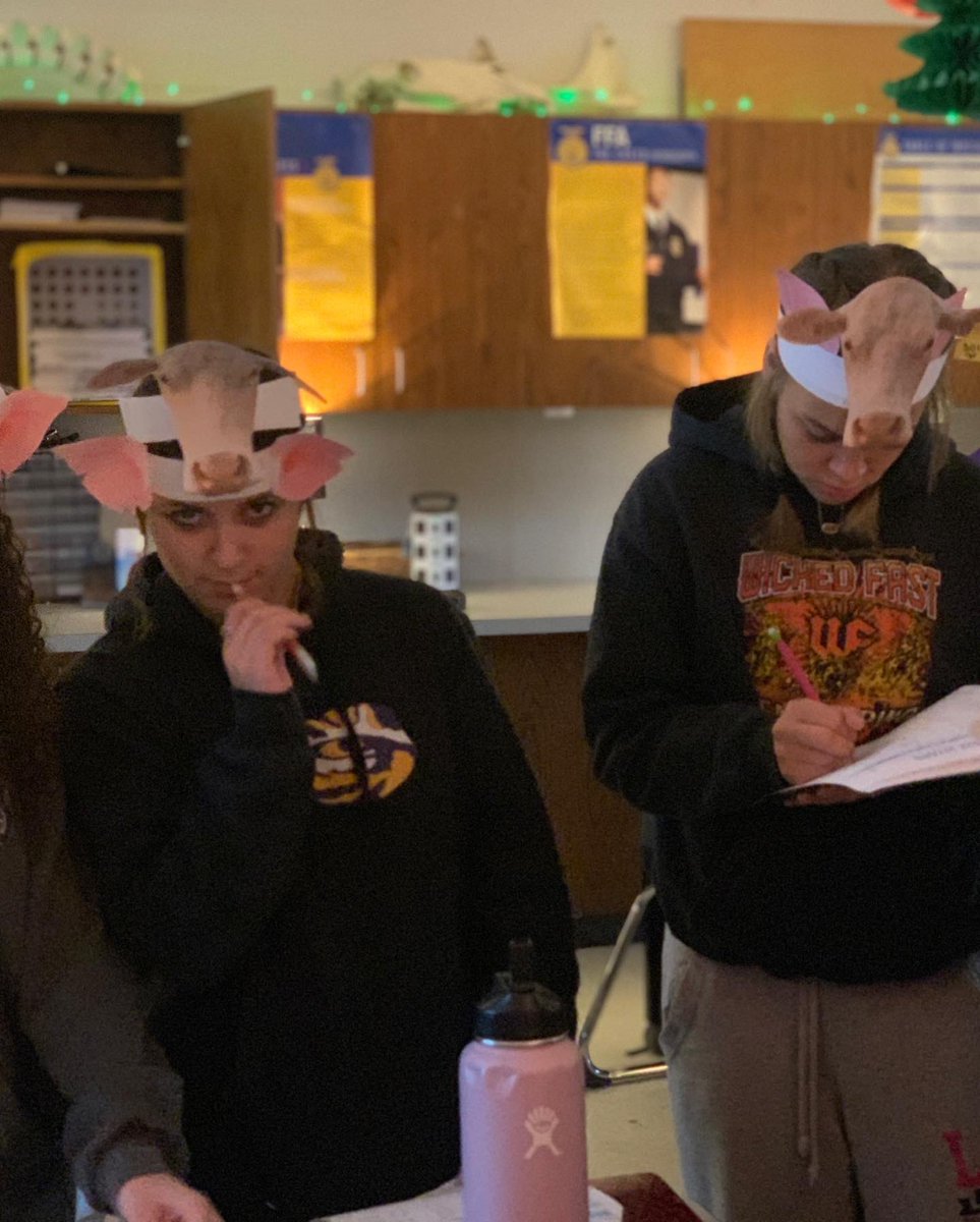 Mrs.V's Classroom tweet media