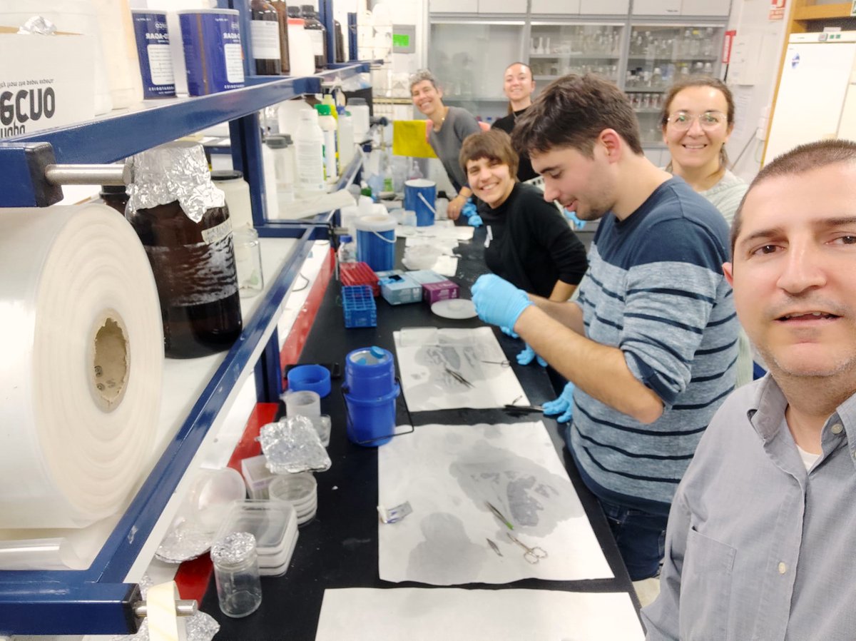 AgroSerBiotech's tweet photo. Today is sampling day!!🌱🌱 https://t.co/esba0diqGr