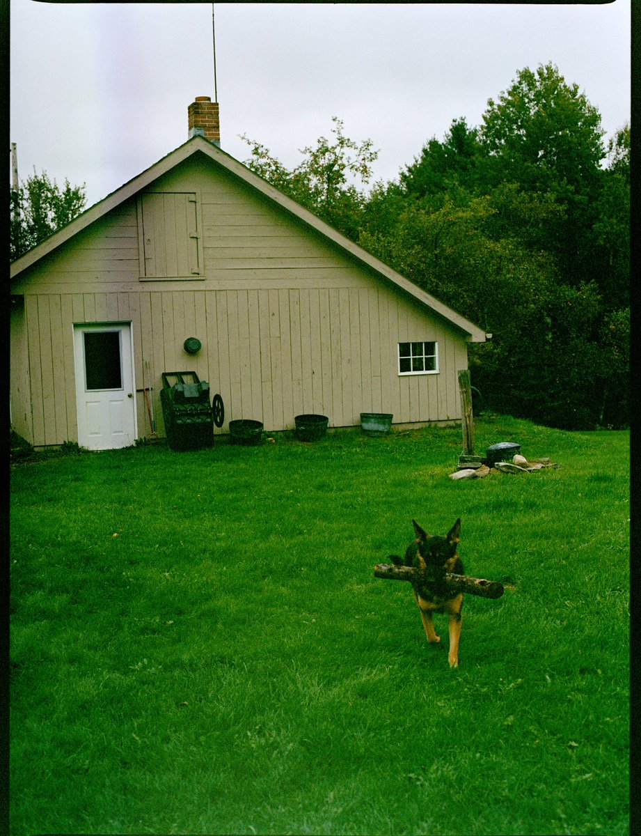 NoahKahan's tweet photo. The boys in the band and I made yall a special acoustic version of homesick that I am in love with. It comes out tomorrow
https://t.co/Zetg83SHEX https://t.co/eH8lrl2vtp