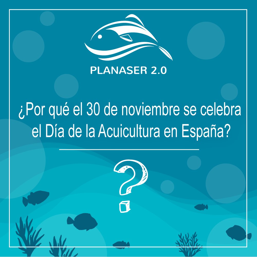 PLANASER 2.0 tweet media