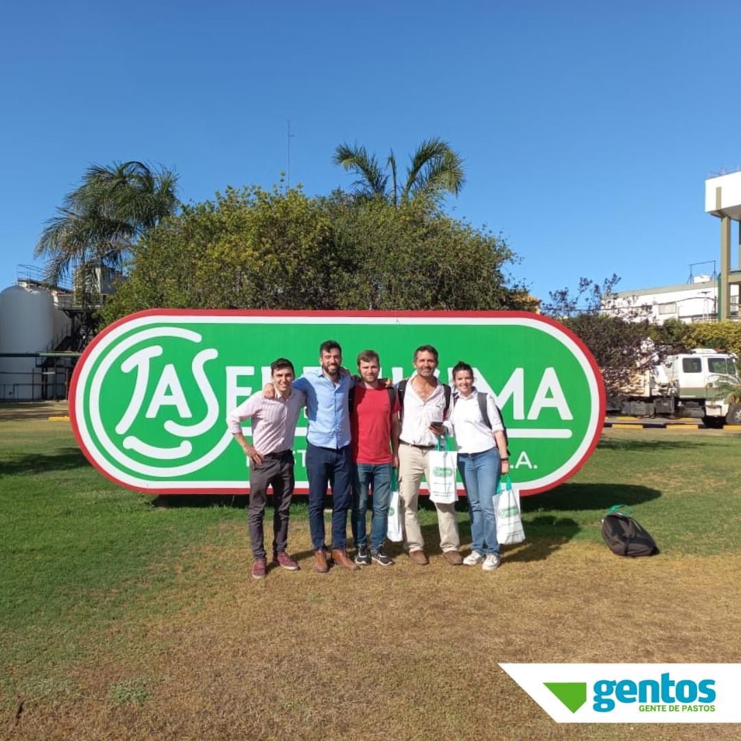 Gentos Argentina tweet media