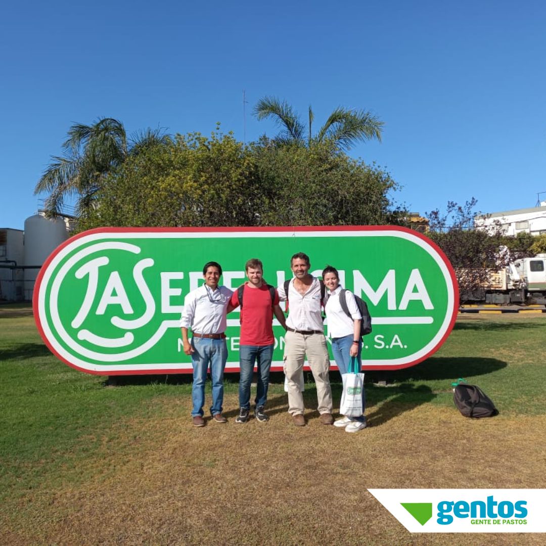 Gentos Argentina tweet media