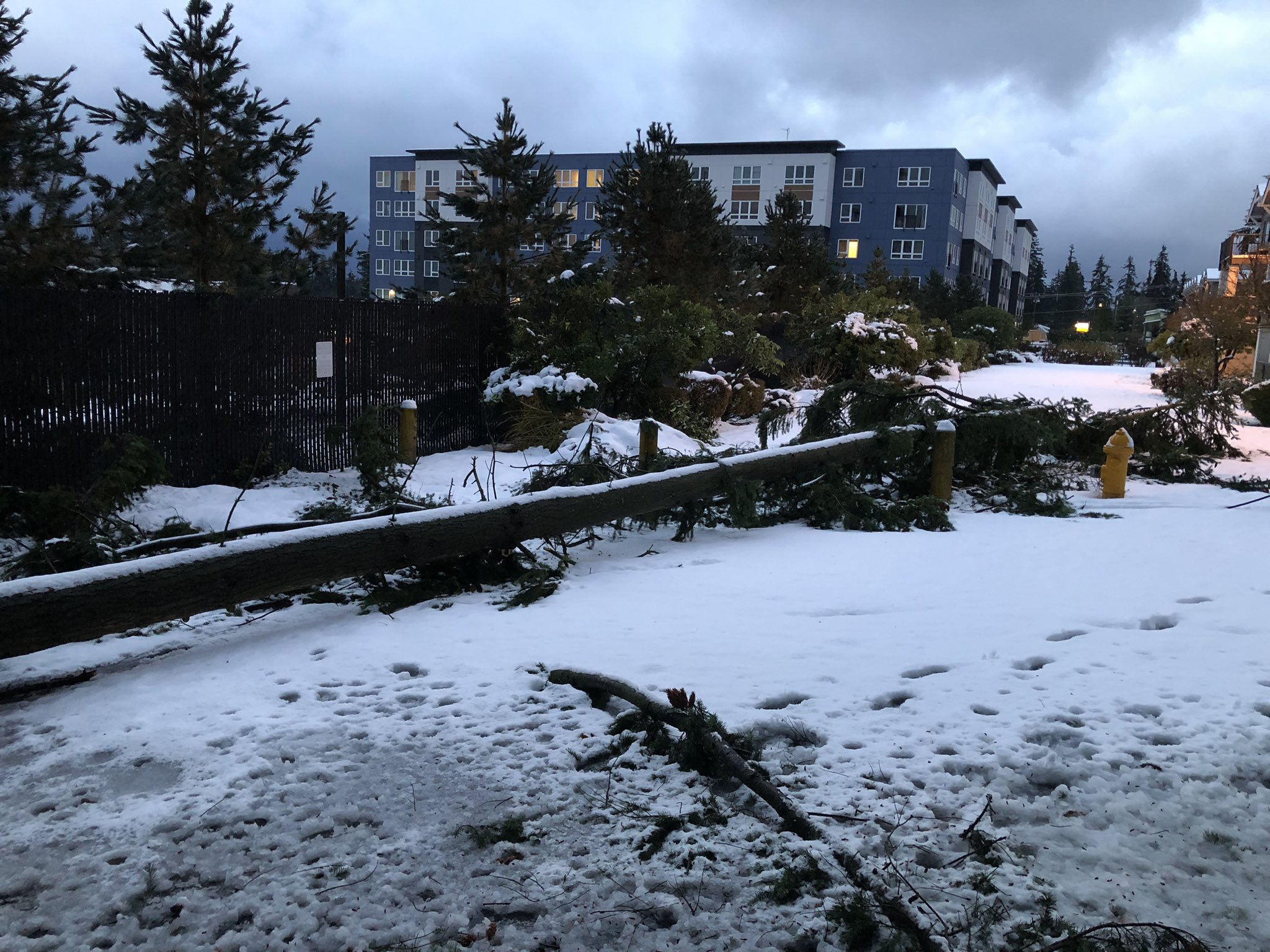 Washington State DOT on Twitter "Remember when I was kinda making fun