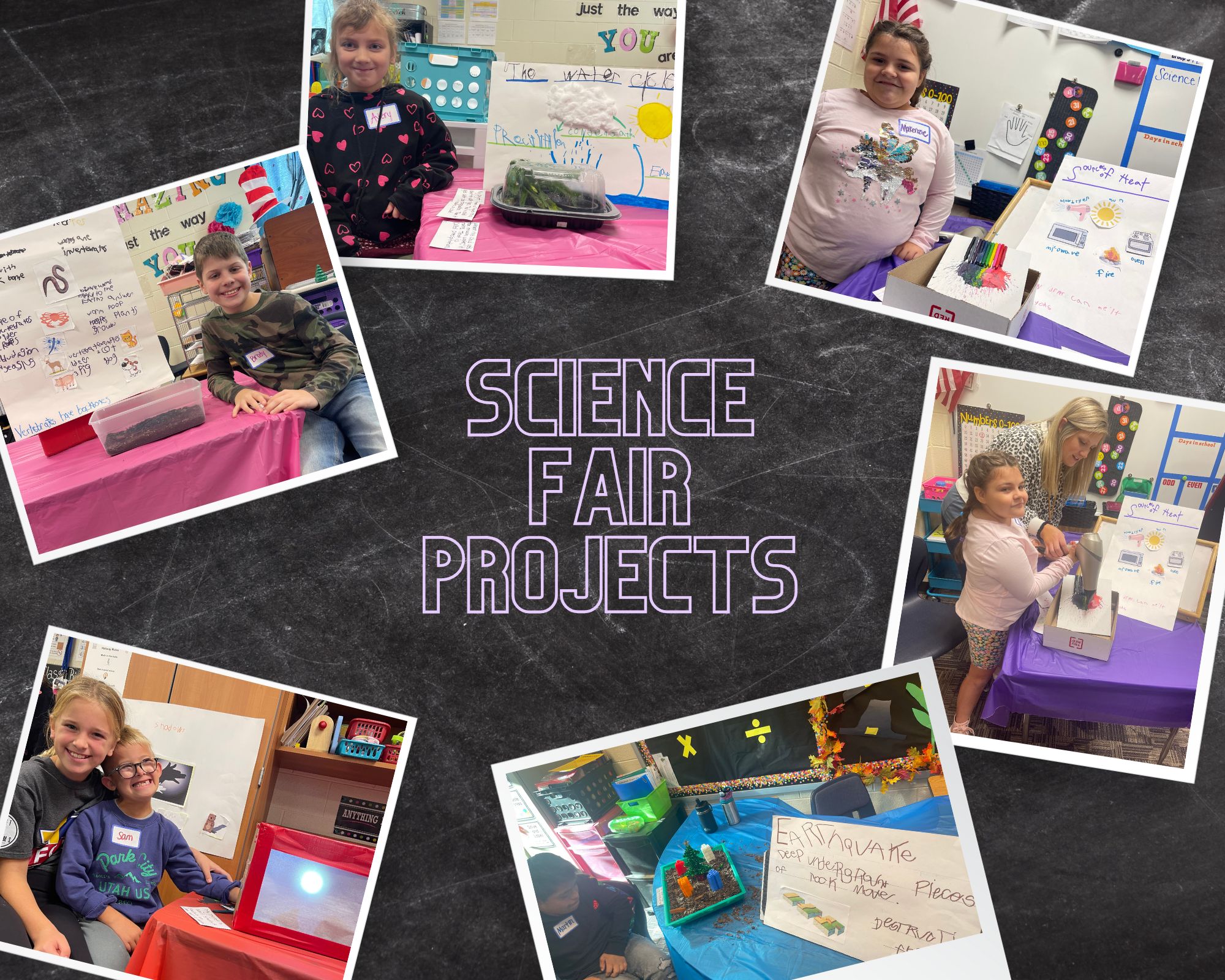 Rhonda Courson on X: Science Fair Project DONE!!! Culmination of