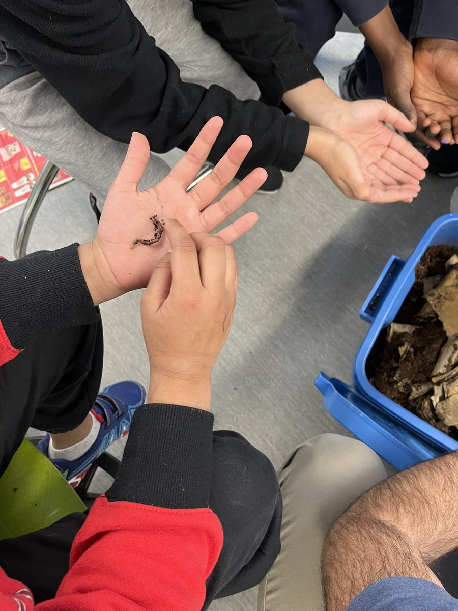 Ms. Jaime Lynn Sopka tweet media