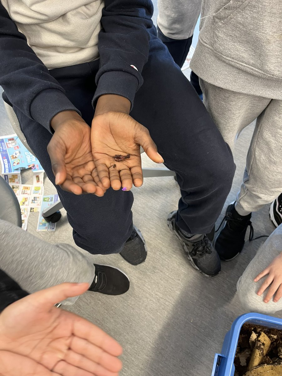 Ms. Jaime Lynn Sopka tweet media