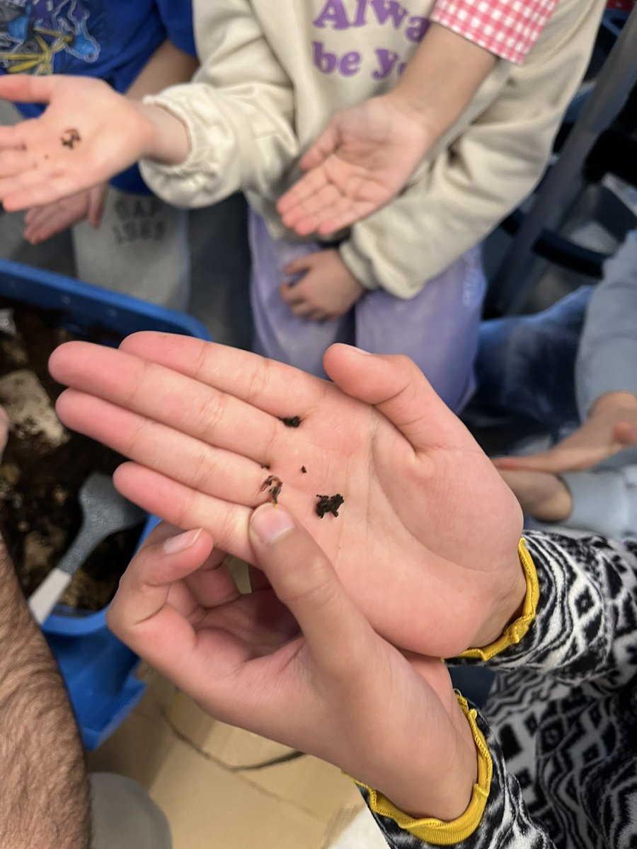 Ms. Jaime Lynn Sopka tweet media