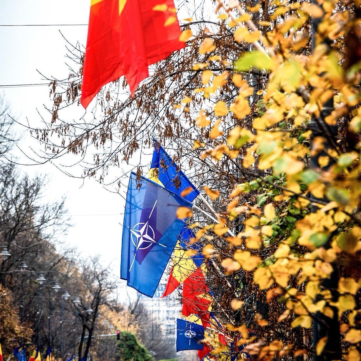 Mulțumesc, București 💙

#ForMin | #WeAreNATO