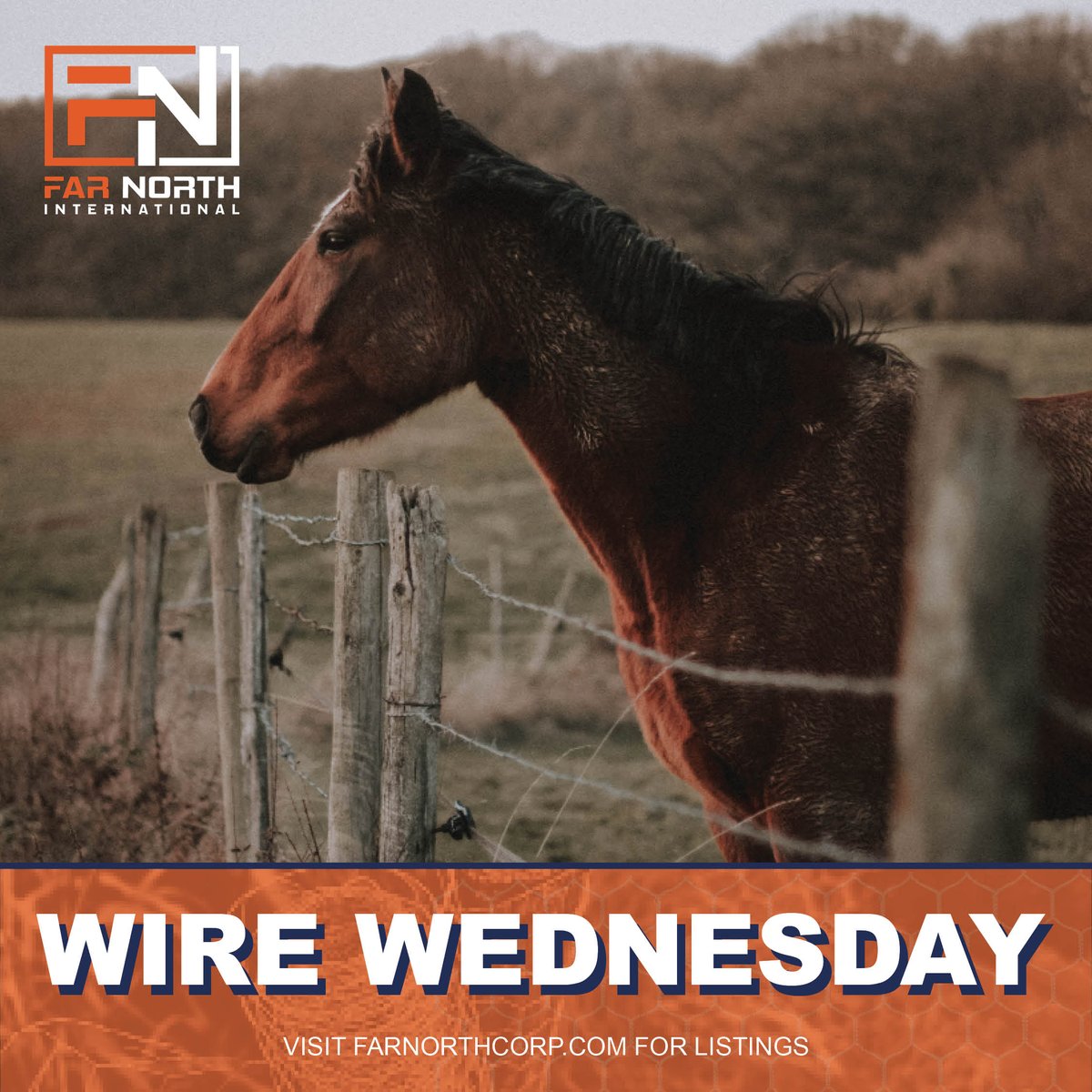 FarNorth_Inter's tweet photo. ⚒️ WIRE WEDNESDAY: Tomorrow is December! ❄️ Did you complete your winter prep on your landscaping?

https://t.co/Hahz0sH7si
#FarNorthInternational #WireMesh #WeldedWire #Wire #November #Autumn #Fall https://t.co/rFy8MwLDEu