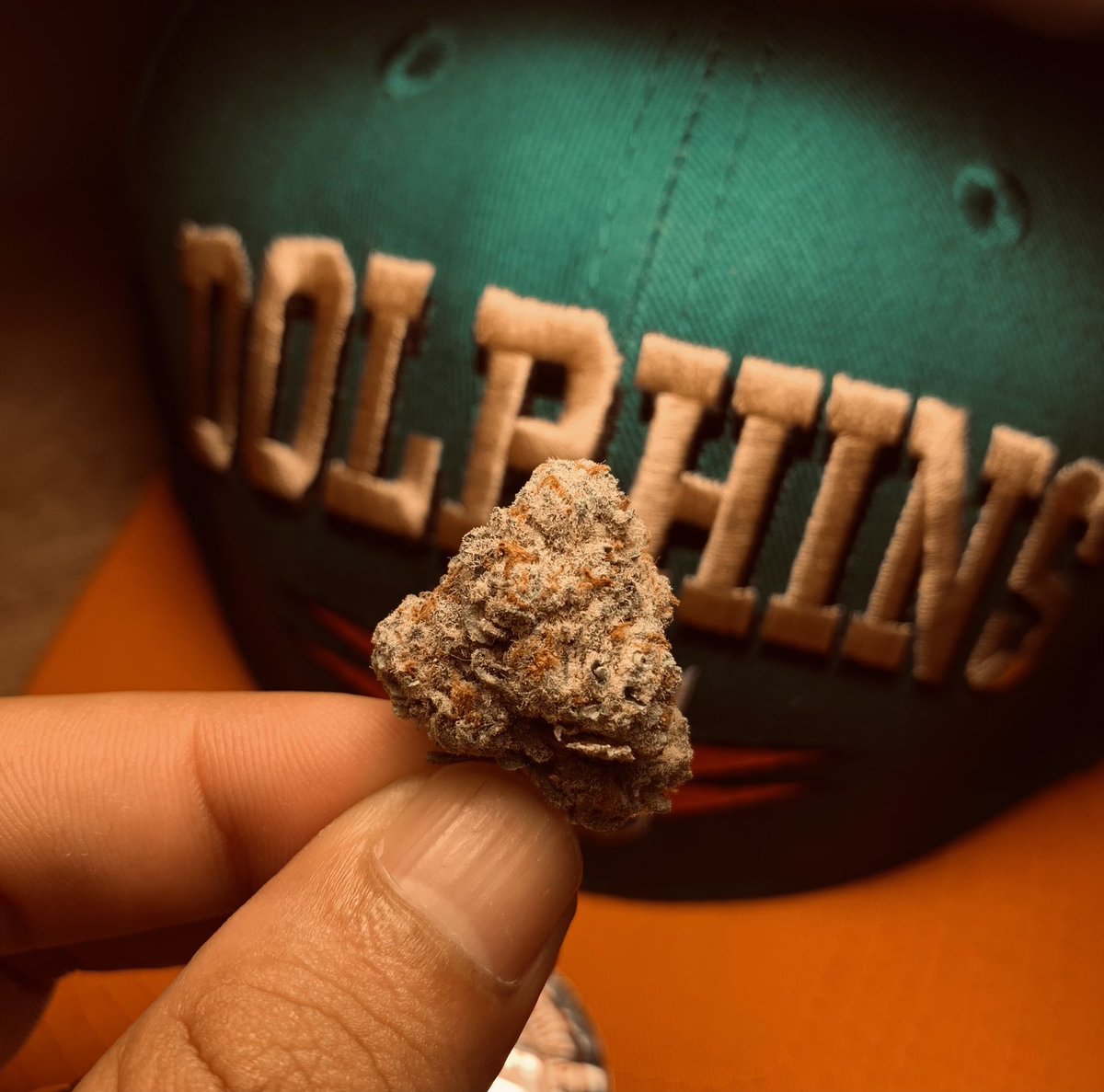 GalieZol's tweet image. 🌬💨.  #CannabisCommunity 
#Durban #localgrow #420life