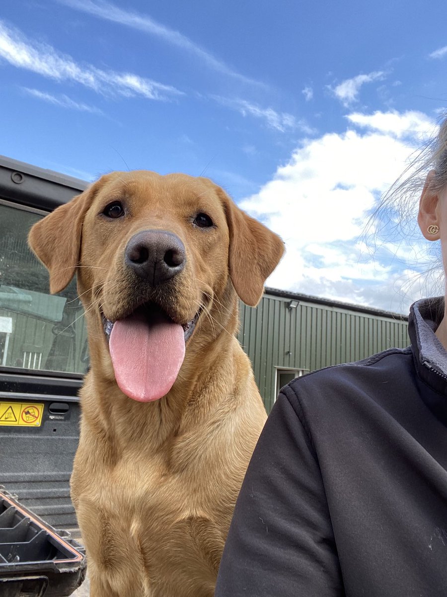 Always brings a smile to your face 😊