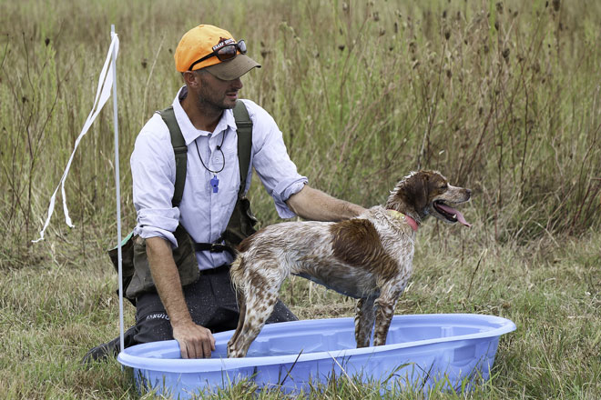 pheasants4ever's tweet image. HUNTING AND TRAINING IN THE EXTREMES: HOW TO KEEP YOUR DOG SAFE IN HOT (AND COLD) WEATHER. By Mark Olcott, DVM &amp;amp; presented by NAVHDA International. Read the full article at the link below.

pheasantsforever.org/BlogLanding/Bl…

#birddogs #navhda #pheasantsforever #quailforever