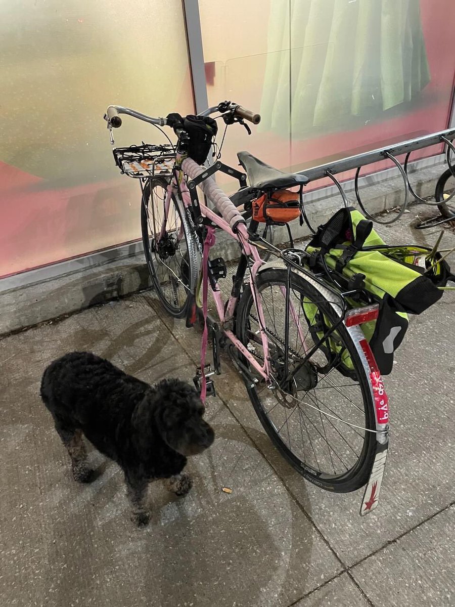 New form of bike lock.  #WackyWednesday #cyclinglife #workingdogs