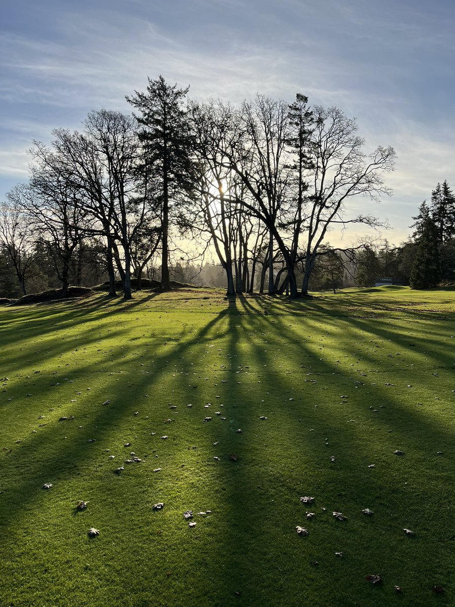 Scott Wheeler CGCS 🇨🇦 tweet media