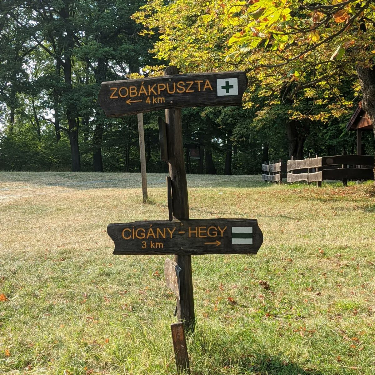 OfPecs's tweet photo. #studenttakeover One of the best hobbies to have in Pécs: hiking! 🥾 Pécs is bordered by the Mecsek Hills to the northwest, making it a great location for hiking! The most iconic hike in Pécs leads up to the Pécs TV tower, which is the tallest building in Hungary 🗼

🌐Sophie https://t.co/80074nM97j