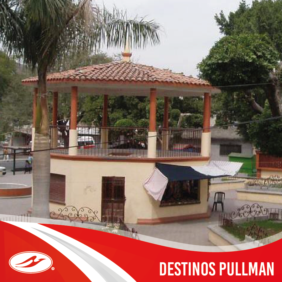 Pullman de Morelos tweet media
