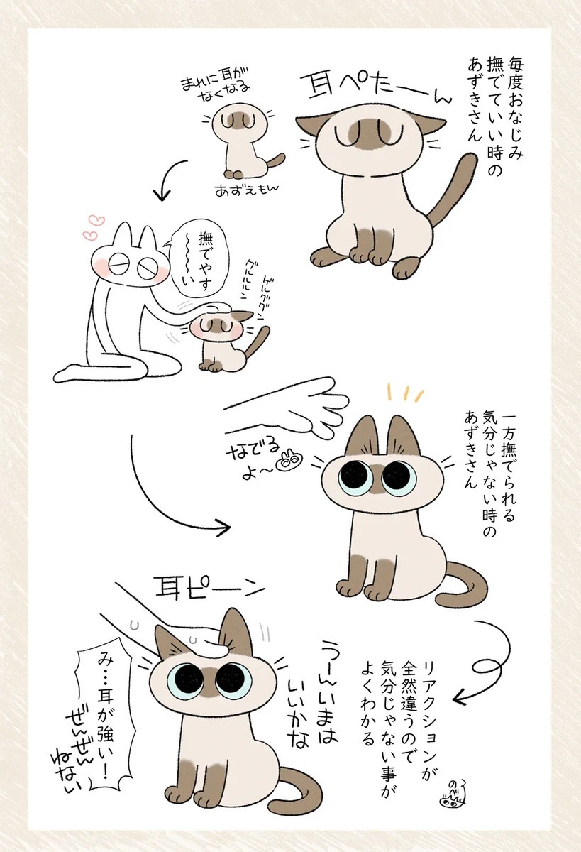 可愛すぎる･･･！撫でて良いときか否かが耳で分かる愛猫のお話を描いた「猫漫画」！