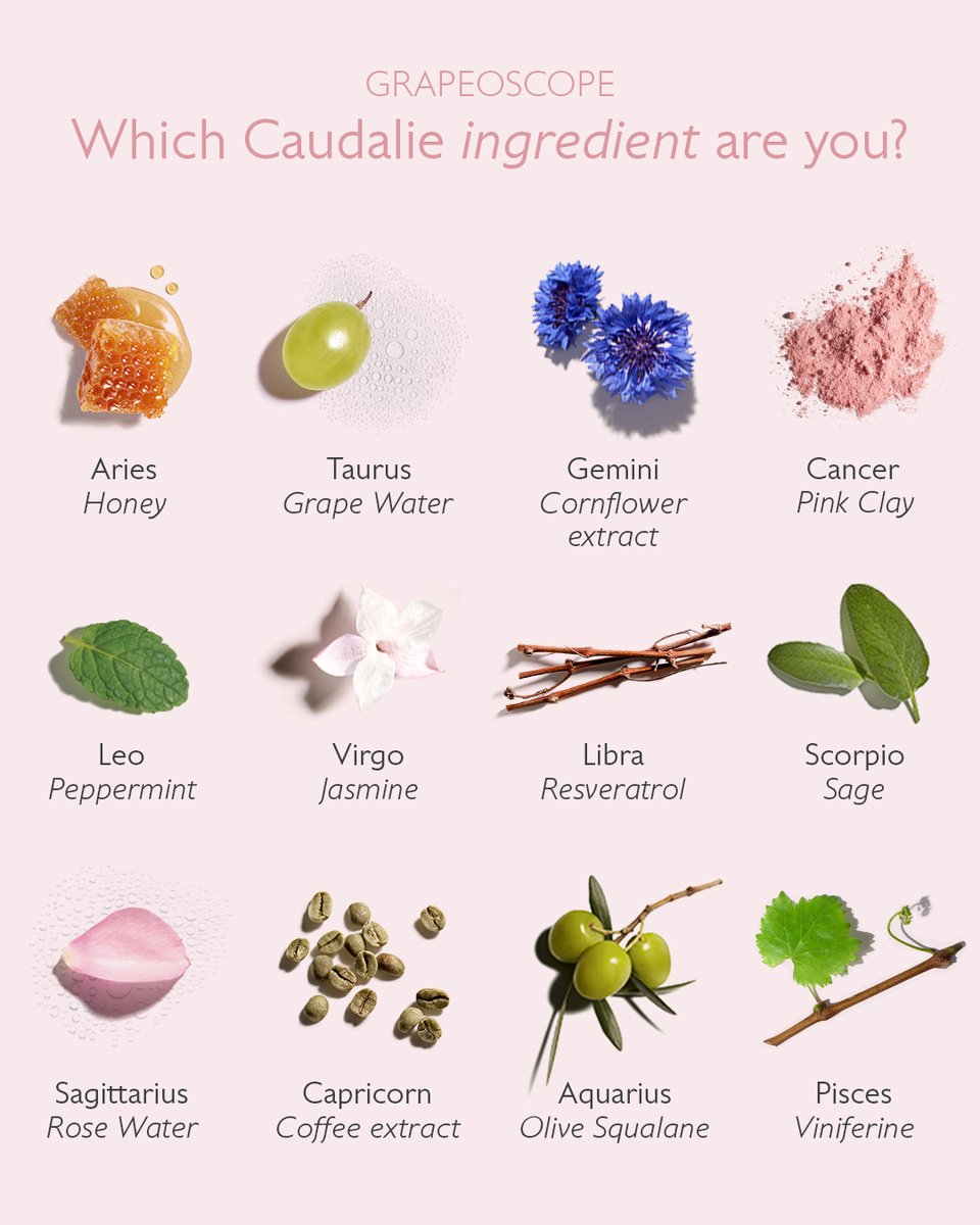 Which Caudalie ingredient are you? 🔮✨ Tell us in the comments!