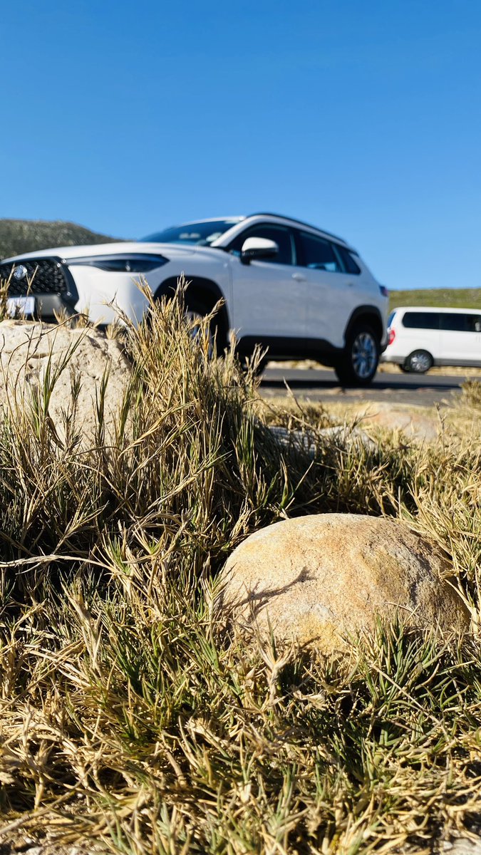 brokensuit44's tweet photo. From the hip homes of Camps Bay, to watching penguins wiggle on Boulders Beach, to the wine kiosks in Kirstenbousch, watching Ostriches at the Cape of Good Hope, and the scenic Chapman’s peak drive… 

Meet the Xs #ToyotaCross 

A car made to handle this, that and some more. https://t.co/ganV3VjHvQ