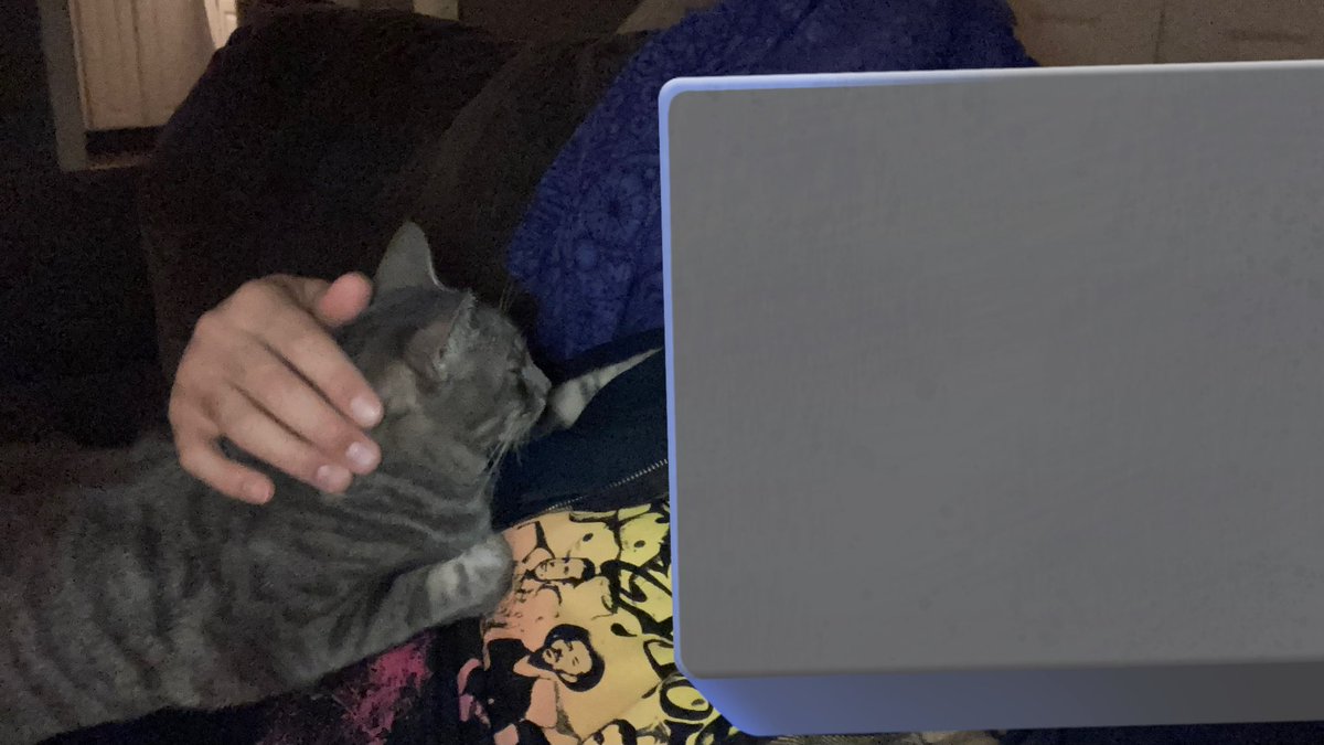 my dad: i don't want a cat 
my dad and the cat: