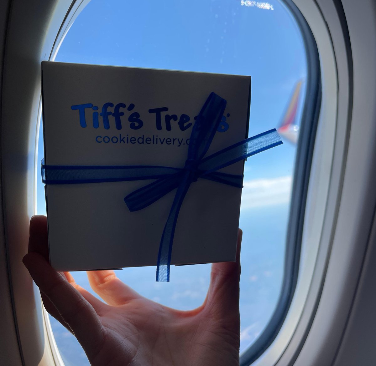 Go See The on Twitter "RT SouthwestAir POV Your entire