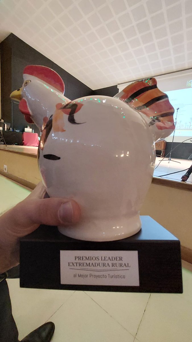 DIVA-AMBROZ tweet media