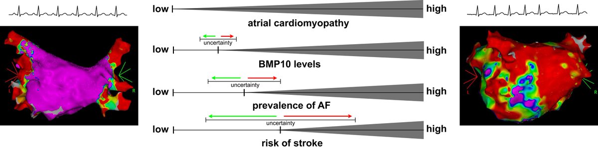 EHJ Editor-in-Chief tweet media
