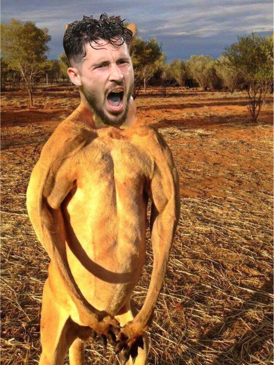benm_rphy's tweet photo. ⚽️🦘💪 

#FIFAWorldCup  #AUSDEN #Socceroos https://t.co/LfGQYsrX6s