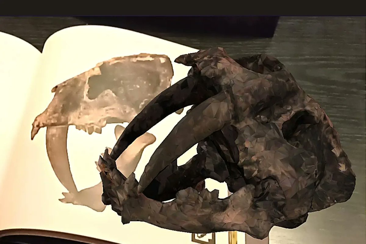 megafauna3d's tweet photo. Presentamos Megafauna 3D, un libro de huesos.
Un viaje en el tiempo en el que los animales extintos vuelven a la vida en la pantalla y el papel.
Conseguilo en librerías, escribiéndonoz por privado o a megafauna3d@gmail.com https://t.co/ZBbf9wPomv