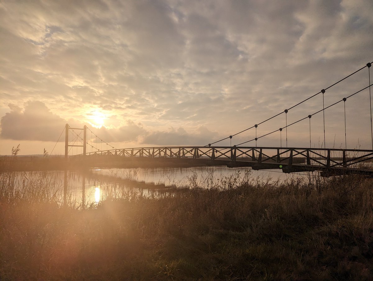 Pixel 7 camera 😍 #TeamPixel #Pixel7