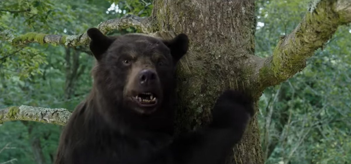 DiscussingFilm's tweet image. First look at the bear in ‘COCAINE BEAR’.

The film follows a bear who ingests a 40 containers of cocaine and goes on a coke-fueled rampage.