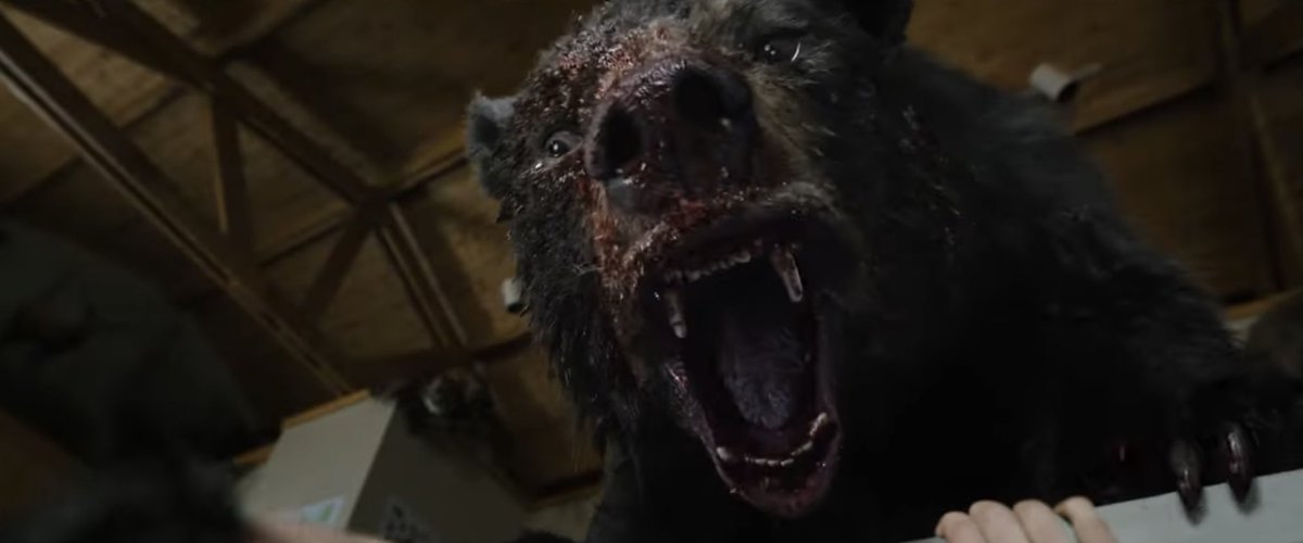 DiscussingFilm's tweet image. First look at the bear in ‘COCAINE BEAR’.

The film follows a bear who ingests a 40 containers of cocaine and goes on a coke-fueled rampage.