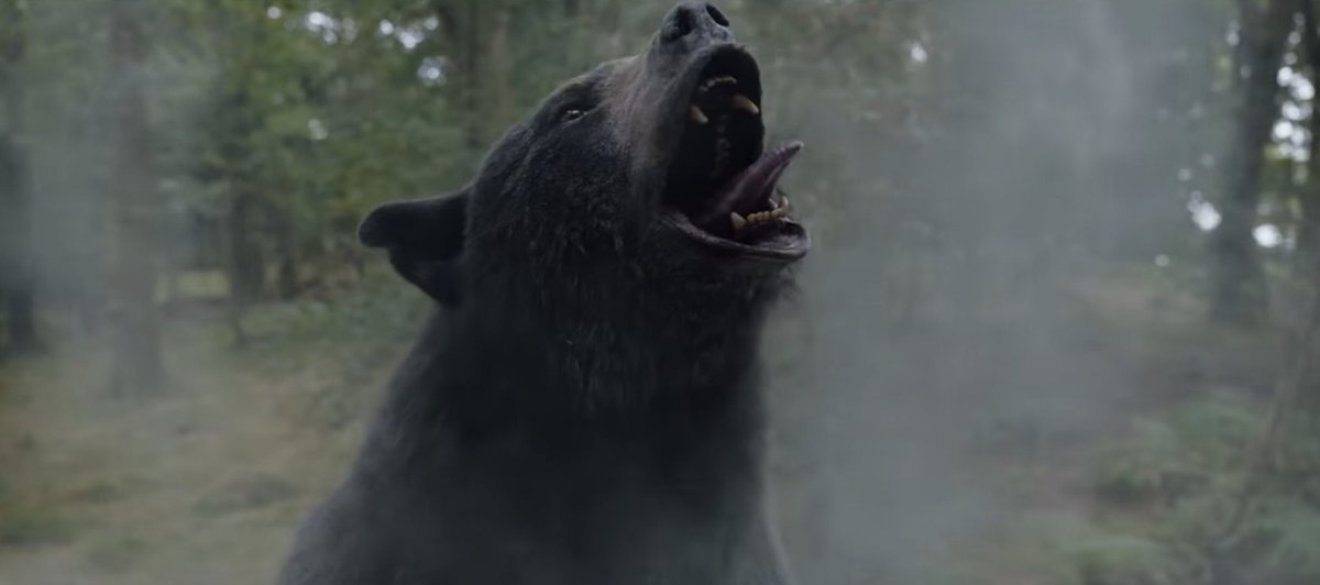 DiscussingFilm's tweet image. First look at the bear in ‘COCAINE BEAR’.

The film follows a bear who ingests a 40 containers of cocaine and goes on a coke-fueled rampage.